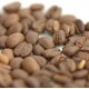 Café grain ALBERTO BIO - 1 Kg - MAPALGA