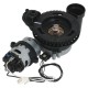 Moulin complet assemblé avec moteur, meules et câblage 11006059 / 996530003327 / 421941170991SAECO GAGGIA PHILIPS 230V DC