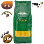 3 X Café grain Delicatessen - 1 Kg - Tupinamba